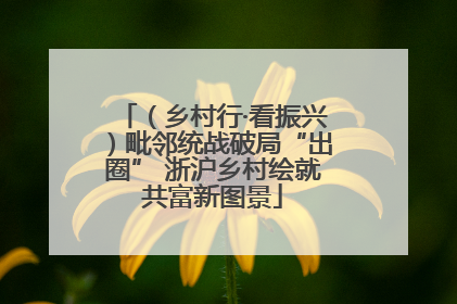 （乡村行·看振兴）毗邻统战破局“出圈” 浙沪乡村绘就共富新图景