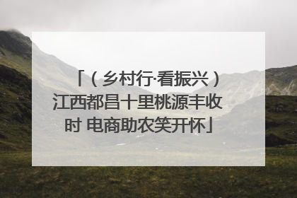 （乡村行·看振兴）江西都昌十里桃源丰收时 电商助农笑开怀