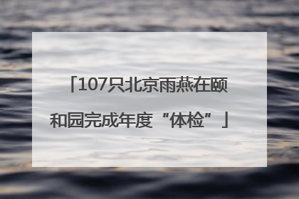 107只北京雨燕在颐和园完成年度“体检”