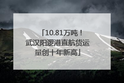 10.81万吨！武汉阳逻港直航货运量创十年新高