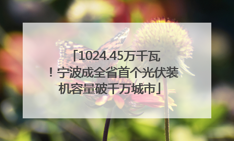 1024.45万千瓦！宁波成全省首个光伏装机容量破千万城市