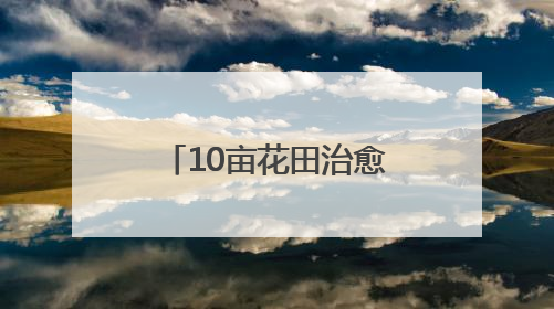 10亩花田治愈3000公里孤独，广水独眼小伙与他的“无尽夏”