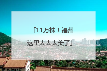 11万株！福州这里太太太美了