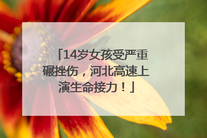 14岁女孩受严重碾挫伤，河北高速上演生命接力！
