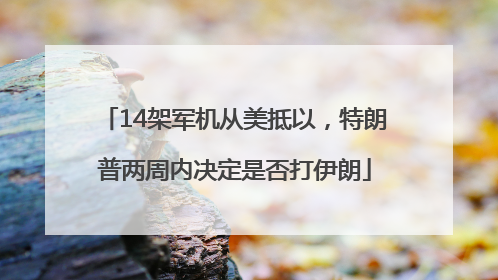 14架军机从美抵以，特朗普两周内决定是否打伊朗