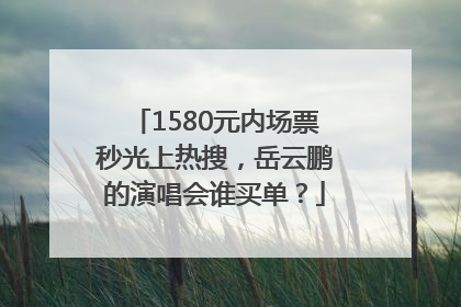 1580元内场票秒光上热搜，岳云鹏的演唱会谁买单？