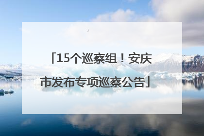 15个巡察组！安庆市发布专项巡察公告