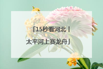 15秒看河北丨太平河上赛龙舟