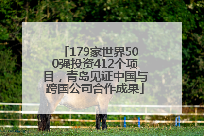 179家世界500强投资412个项目，青岛见证中国与跨国公司合作成果