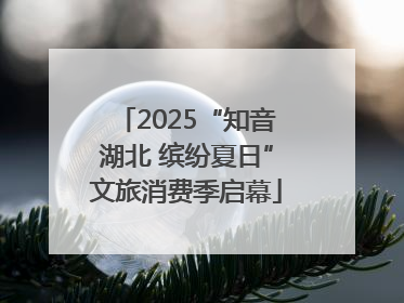 2025“知音湖北 缤纷夏日”文旅消费季启幕