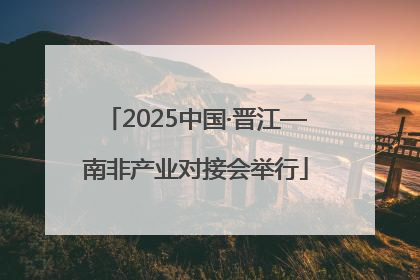 2025中国·晋江—南非产业对接会举行