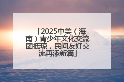 2025中美（海南）青少年文化交流团抵琼，民间友好交流再添新篇