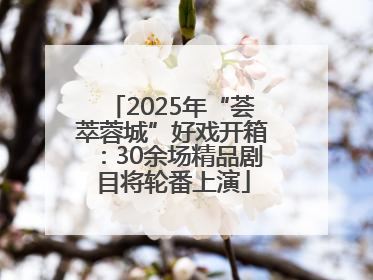 2025年“荟萃蓉城”好戏开箱：30余场精品剧目将轮番上演