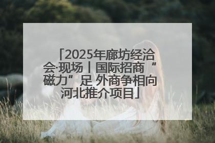 2025年廊坊经洽会·现场丨国际招商“磁力”足 外商争相向河北推介项目