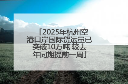 2025年杭州空港口岸国际货运量已突破10万吨 较去年同期提前一周