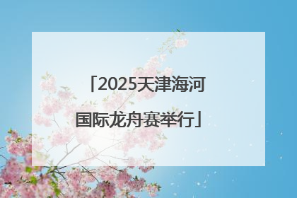 2025天津海河国际龙舟赛举行
