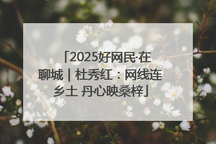 2025好网民·在聊城｜杜秀红：网线连乡土 丹心映桑梓