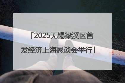 2025无锡梁溪区首发经济上海恳谈会举行