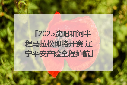 2025沈阳和河半程马拉松即将开赛 辽宁平安产险全程护航