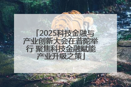 2025科技金融与产业创新大会在普陀举行 聚焦科技金融赋能产业升级之策