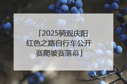 2025骑观庆阳红色之路自行车公开赛爬坡赛落幕