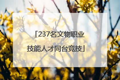 237名文物职业技能人才同台竞技