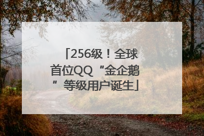 256级！全球首位QQ“金企鹅”等级用户诞生