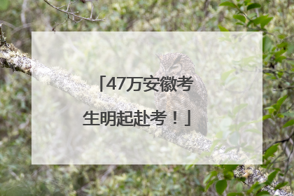 47万安徽考生明起赴考！