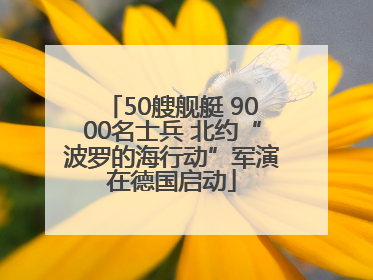 50艘舰艇 9000名士兵 北约“波罗的海行动”军演在德国启动