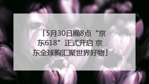 5月30日晚8点“京东618”正式开启 京东全球购汇聚世界好物