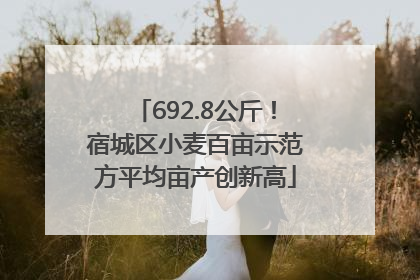692.8公斤！宿城区小麦百亩示范方平均亩产创新高