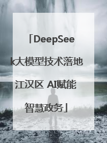 DeepSeek大模型技术落地江汉区 AI赋能智慧政务