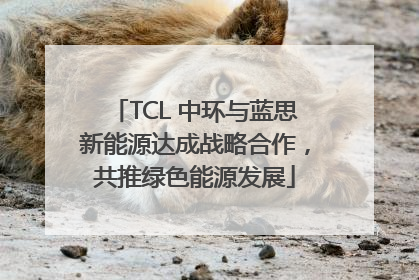 TCL 中环与蓝思新能源达成战略合作，共推绿色能源发展