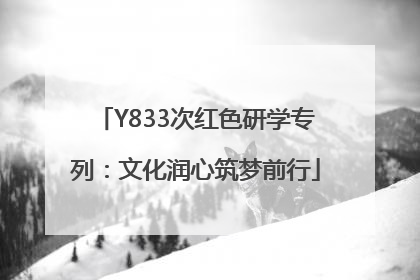 Y833次红色研学专列：文化润心筑梦前行